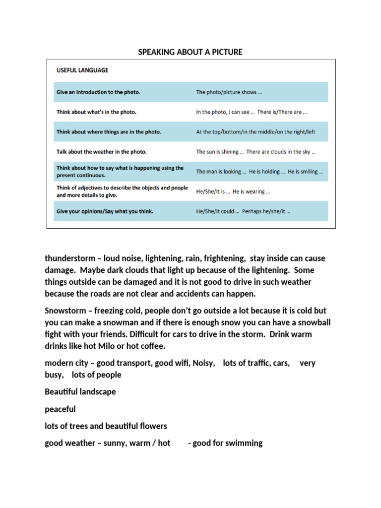 SPEAKING ABOUT A PICTURE - Final | PDF