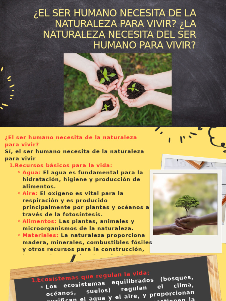 Dependencia del ser humano de la naturaleza | PDF | Naturaleza | Agua