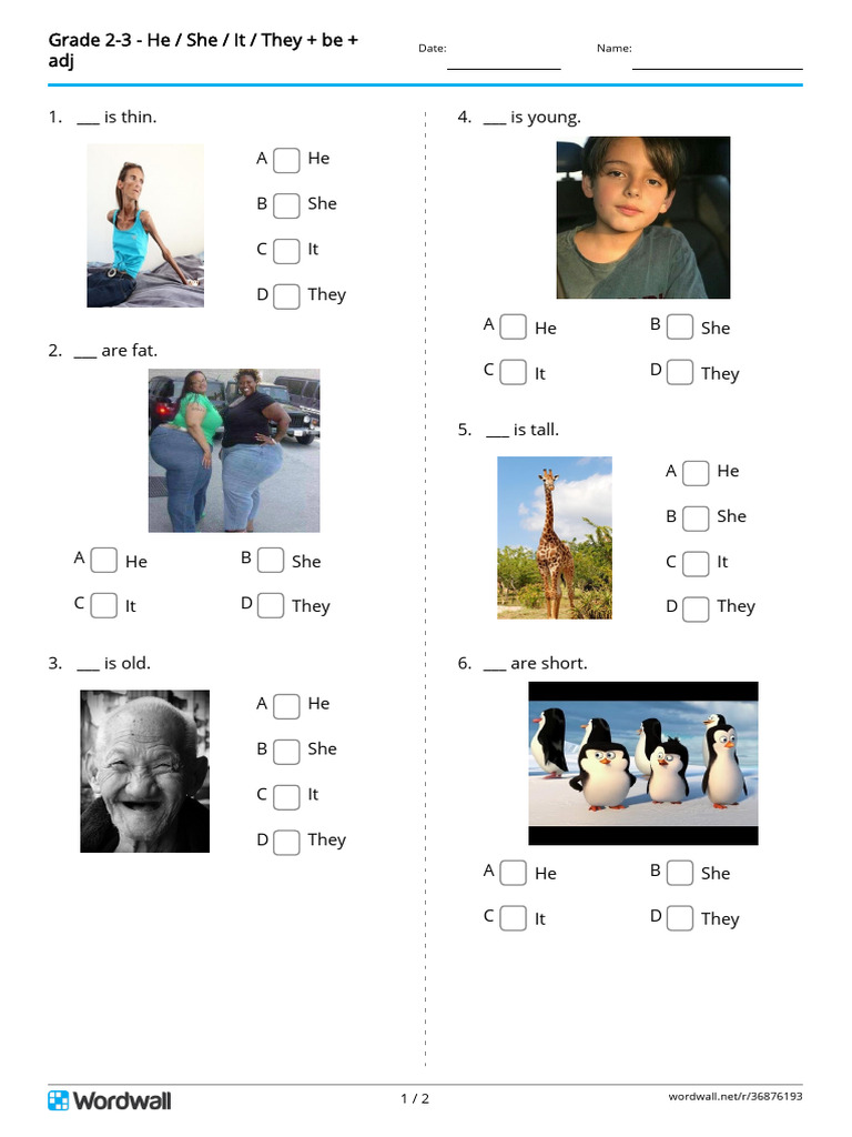 grade-2-3-he-she-it-they-be-adj-quiz (1) | PDF