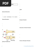 Animalia Phylum Summary Table | PDF | Gill | Zoology