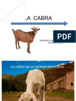 La Cabra