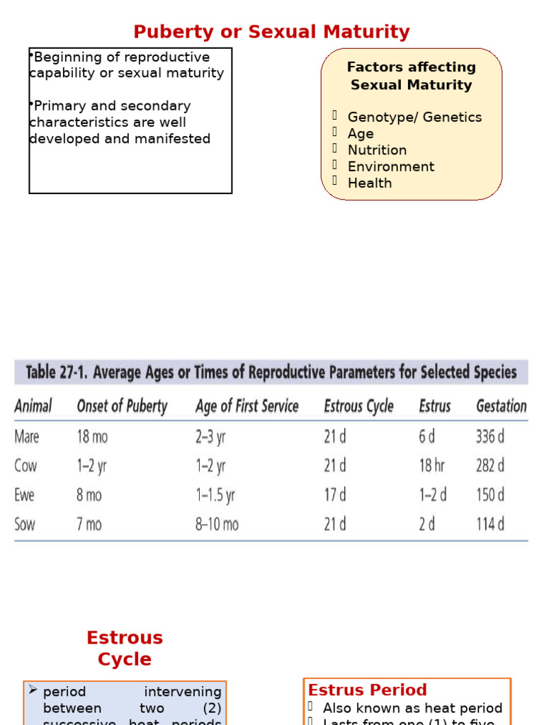Estrous Cycle and Reproductive Biology | PDF | Menstrual Cycle ...