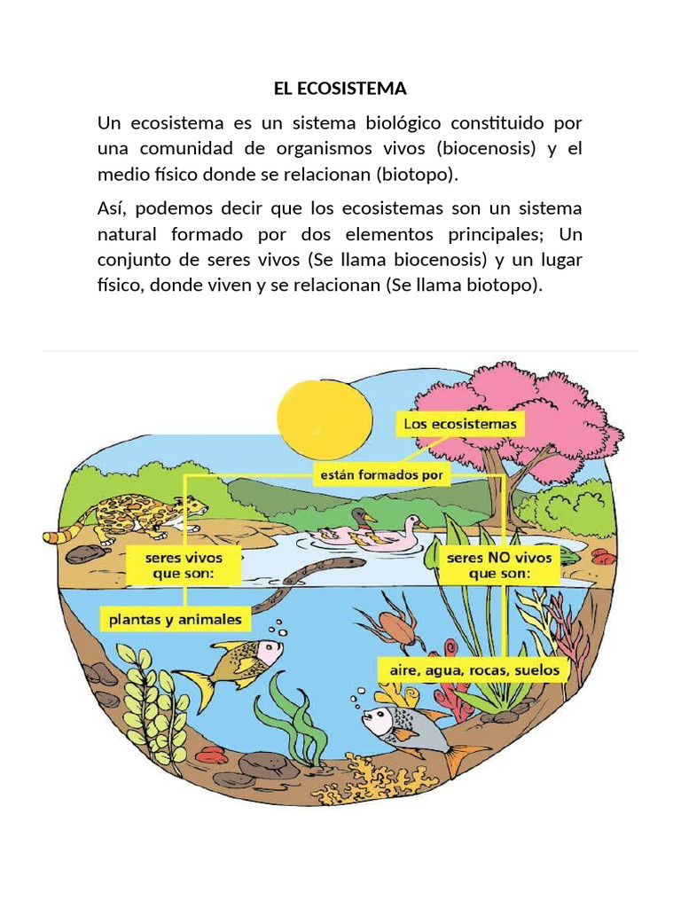 El Ecosistema 1 | PDF