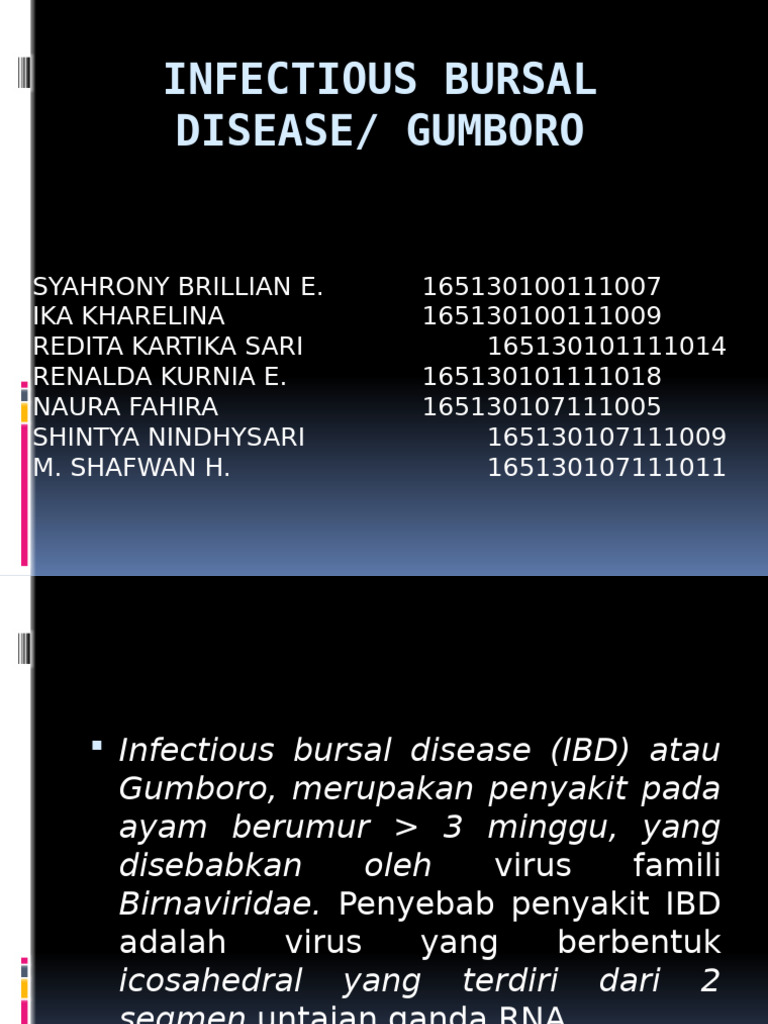 Infectious Bursal Disease | PDF