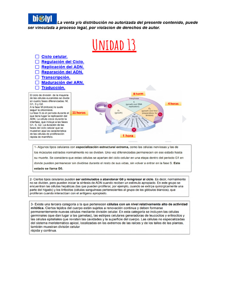 Ciclo Celular: Regulación y Procesos Clave | PDF | Rna | Replicación De Adn