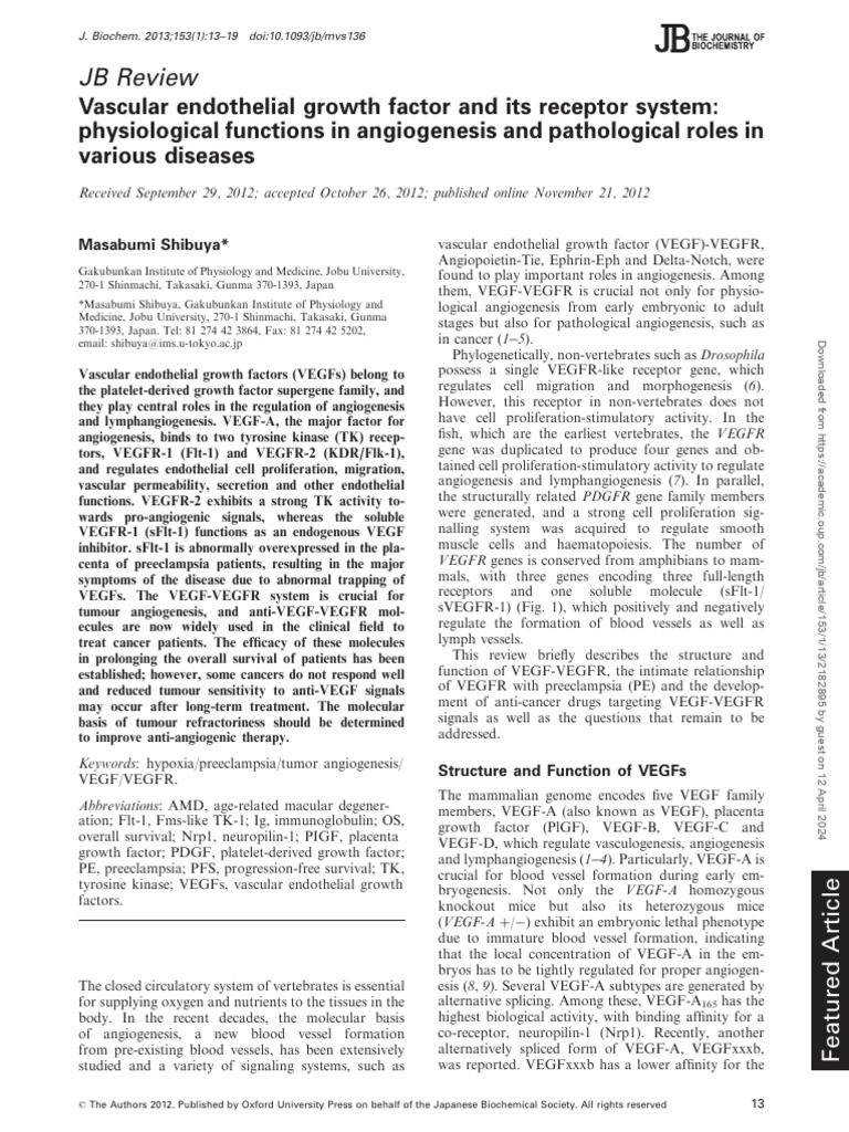 Vascular Endothelial Growth Factor and Its Receptor System ...