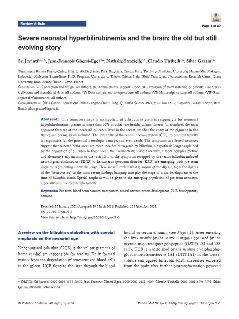 Neonatal Hyperbilirubinemia 2021 | PDF | Diseases And Disorders ...