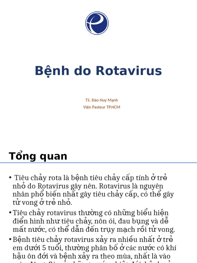 6.3. Rota VI Rút | PDF