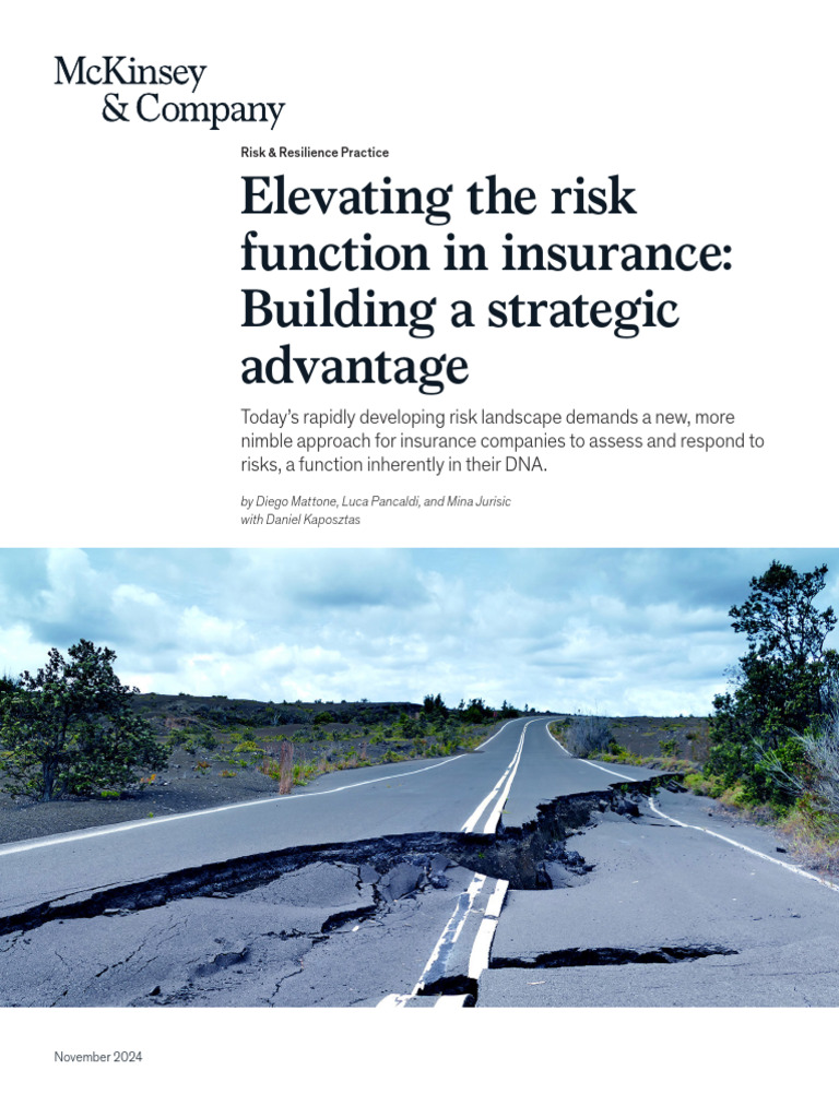 Elevating The Risk Function in Insurance Building A Strategic Advantage ...