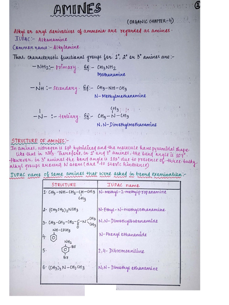 Amines HW Notes | PDF
