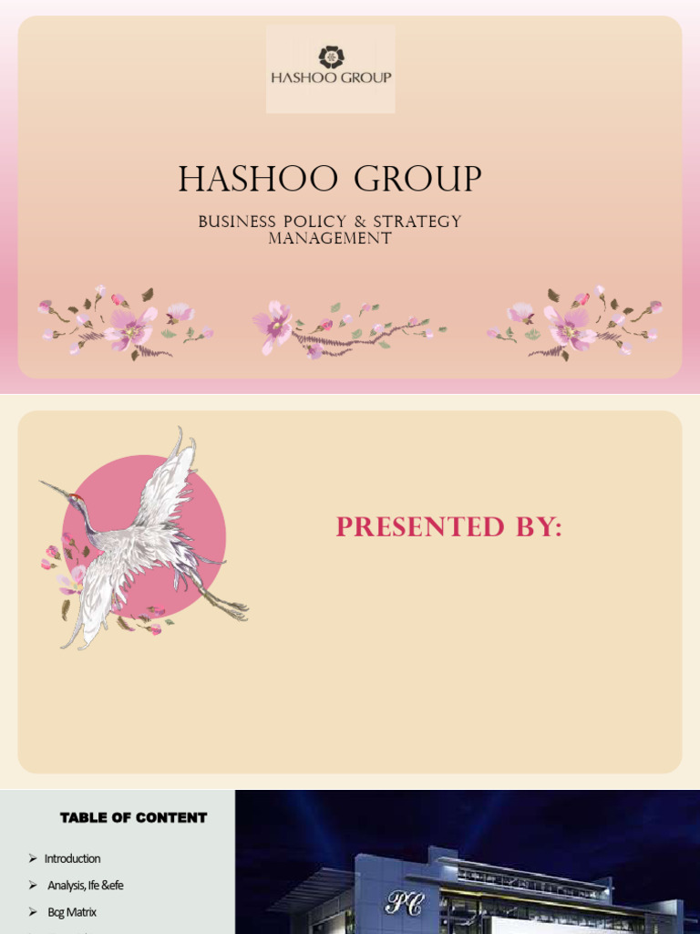 Hashoo Group Business Strategy Analysis | PDF | Taxes | Income