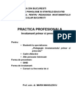 Practica Profesionala 2010-2011