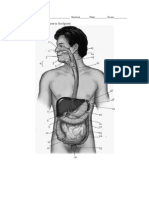 Lab Exercise 8