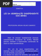 3 - Lei Da Segregação Independente Dos Genes