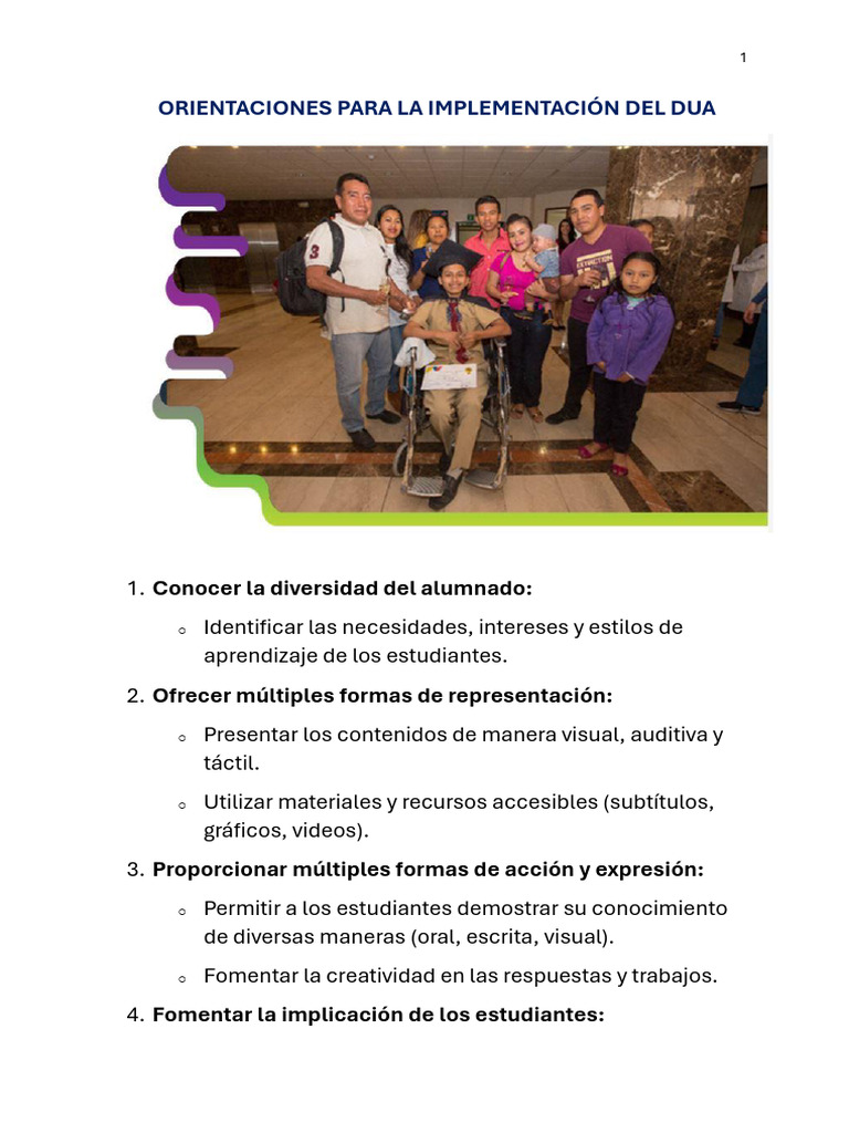 Orientaciones para La Implementación Del Dua | PDF