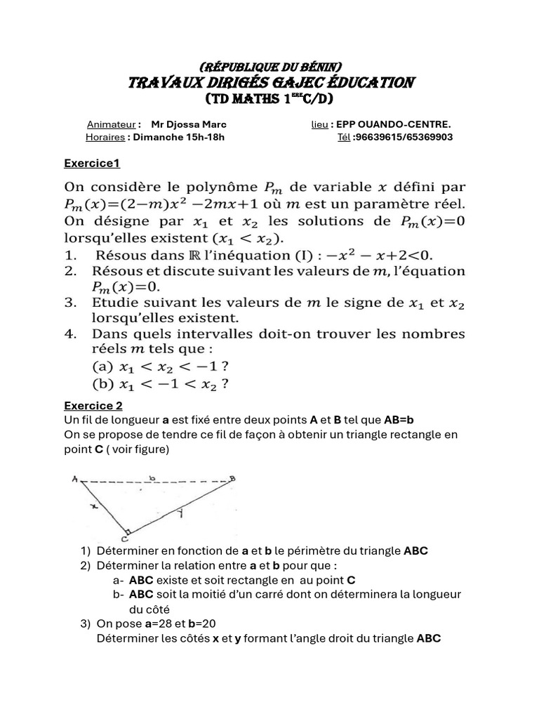 Exercices de Mathématiques sur les Triangles | PDF
