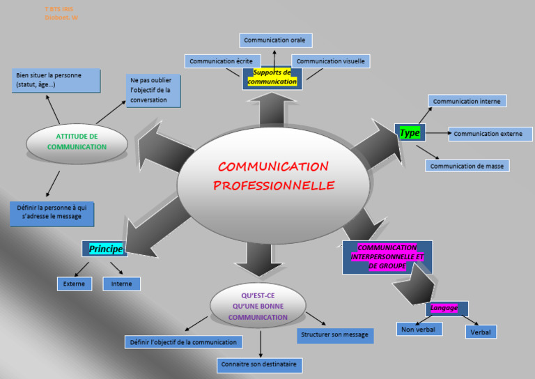 Principes de la communication professionnelle | PDF
