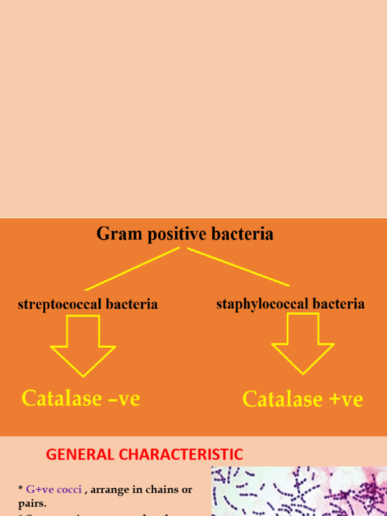 Pyogenic vs. Pyrogenic Streptococci | PDF | Streptococcus | Pneumonia