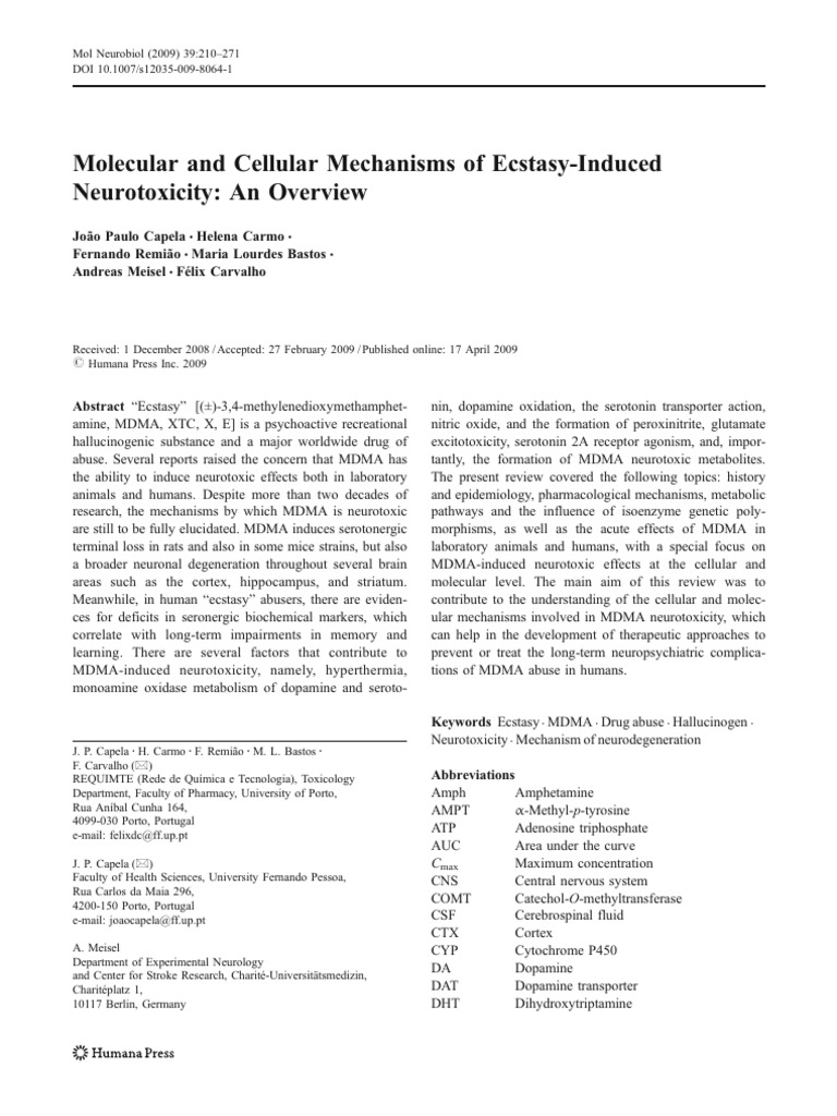 6 - Molecular and Cellular Mechanisms of Ecstasy-Induced Neurotoxicity ...