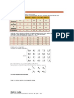 Matriz 06