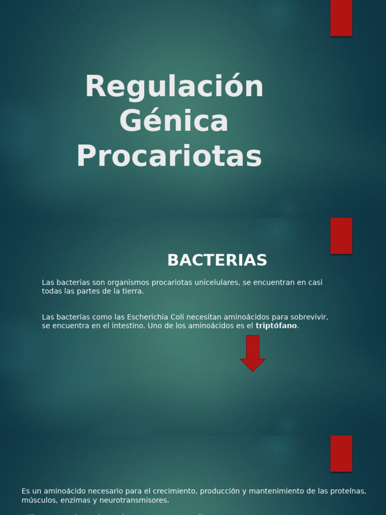 Regulación Génica | PDF