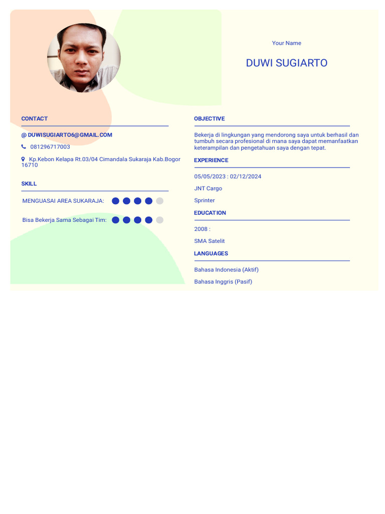 CV 5 1734488439281 | PDF