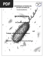 Download Generalidades Bacterias by Valentn Hernndez Martnez SN80603470 doc pdf