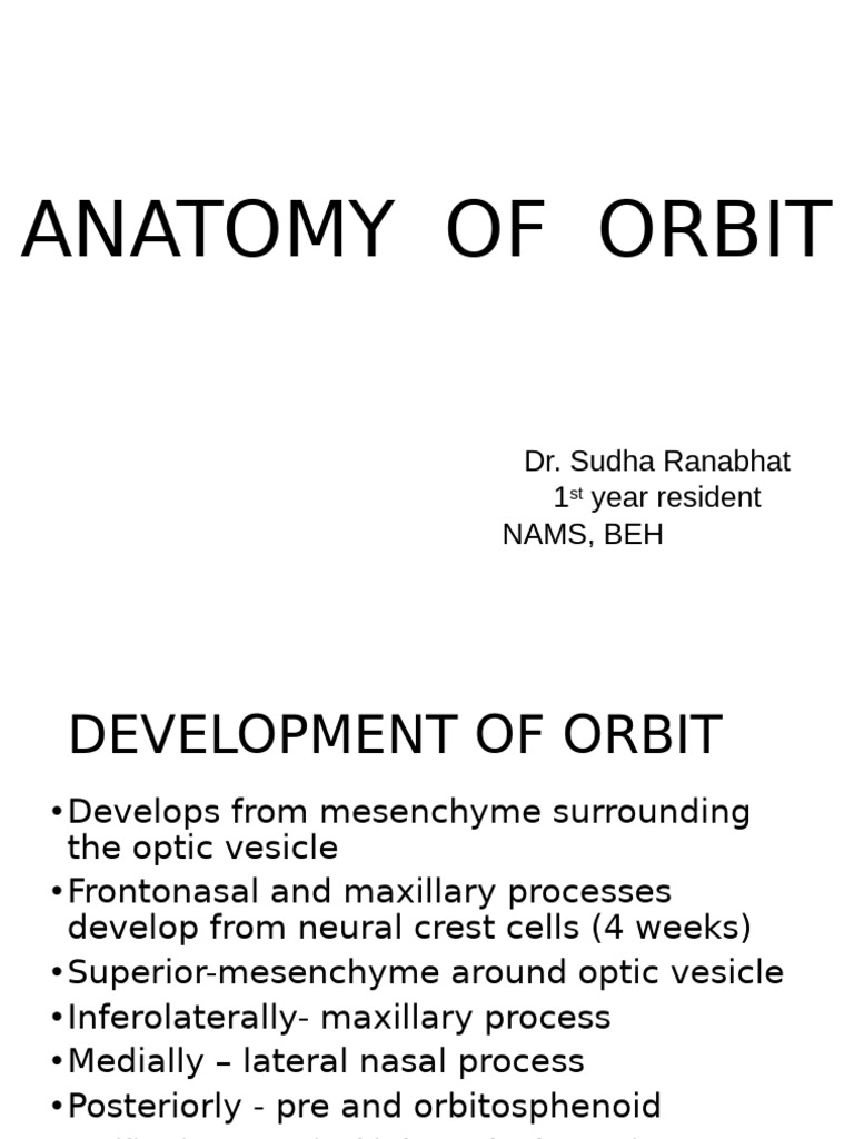 anatomy of orbit -sudha | PDF | Otorhinolaryngology | Skeletal System