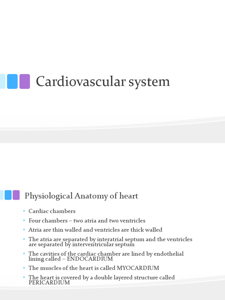 Anatomy and Function of the Heart | PDF | Heart Valve | Ventricle (Heart)