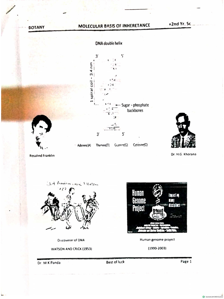 Botany Note | PDF