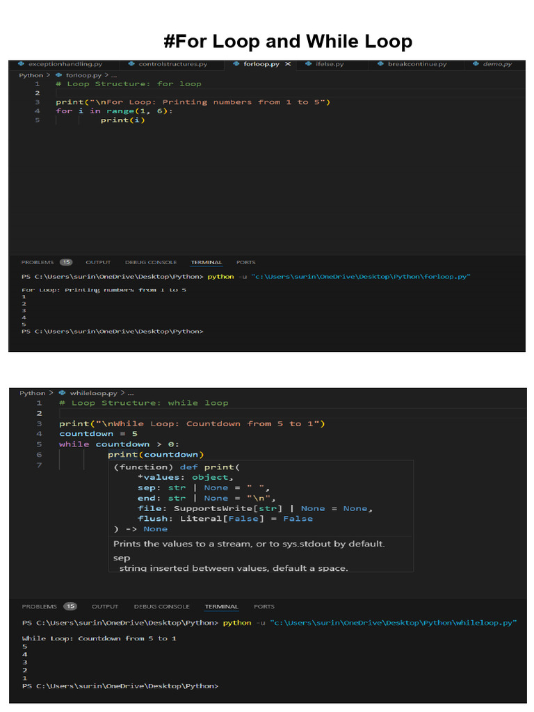For Loop and While Loop | PDF