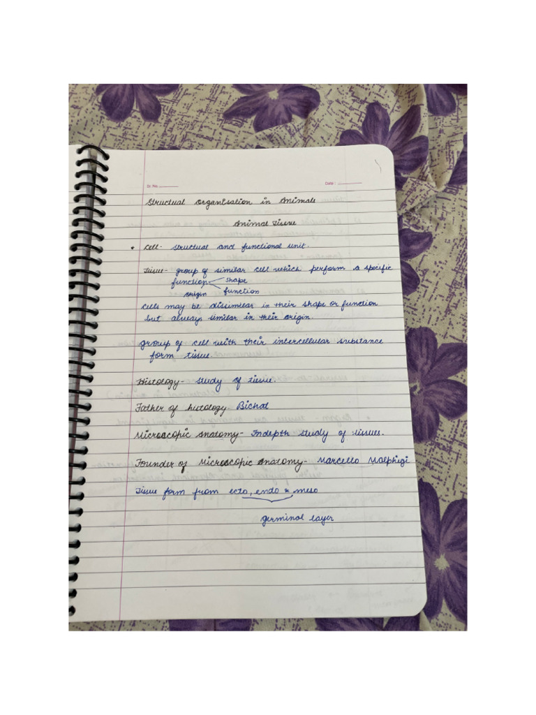 Tissues | PDF
