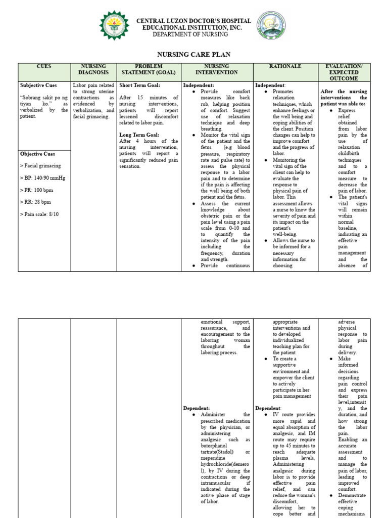 Ncp1 Pdf Childbirth Pain