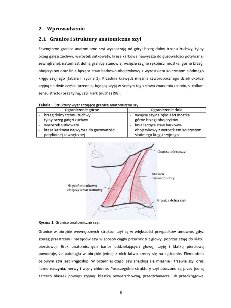 topografia-i-tr-jk-ty-szyi-pdf