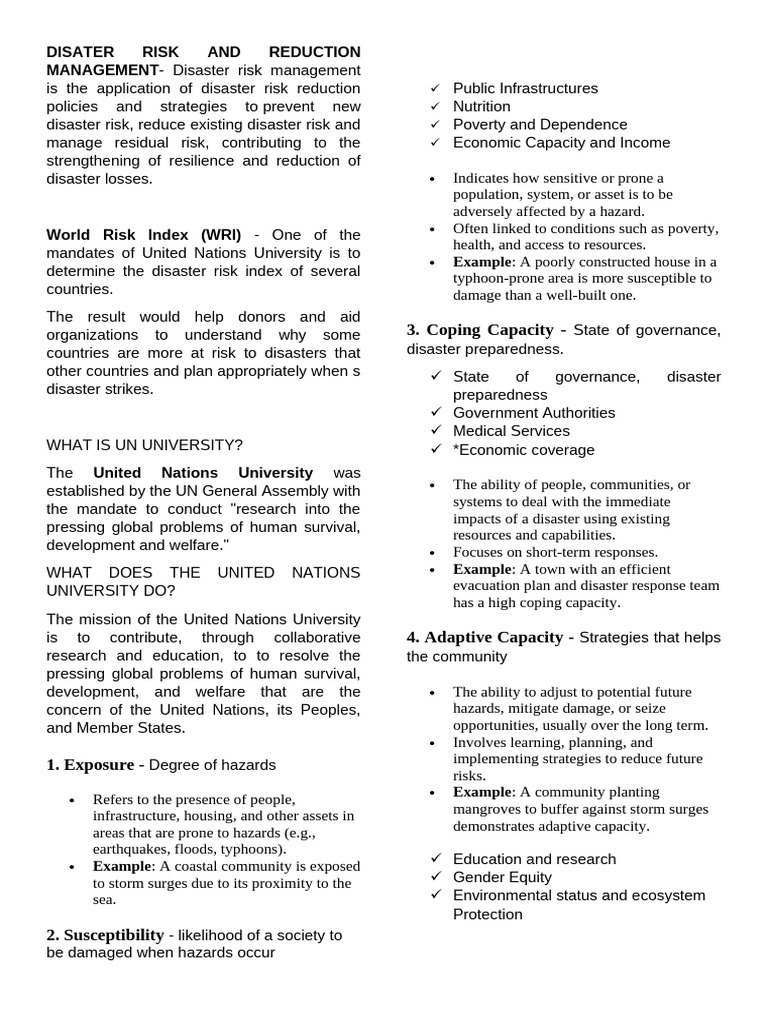 Disaster Risk Management Strategies | PDF | Disaster Risk Reduction ...
