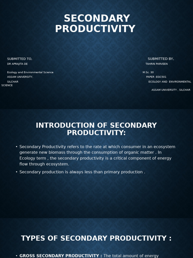 Understanding Secondary Productivity in Ecology | PDF | Food Web ...