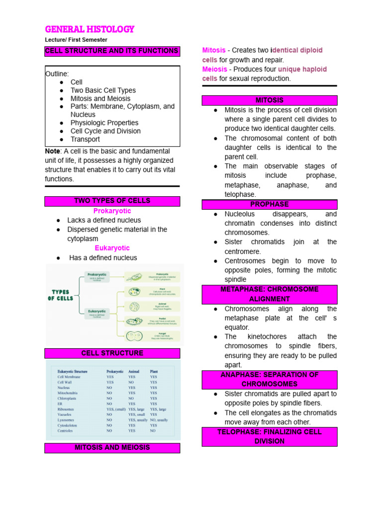 Cell Structure and Division Overview | PDF | Epithelium | Meiosis