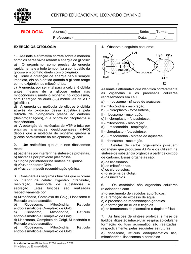 Exercícios de Citologia para 1º Ano | PDF | Mitocôndria | Célula (Biologia)