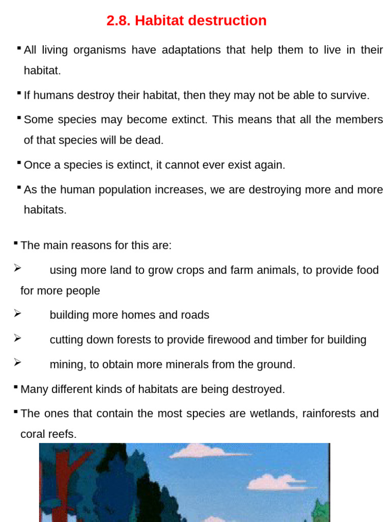 Habitat Destruction and Biodiversity Loss | PDF | Habitat Destruction ...