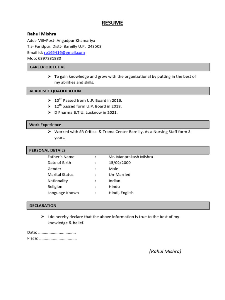 Rahul Mishra Resume Summary | PDF