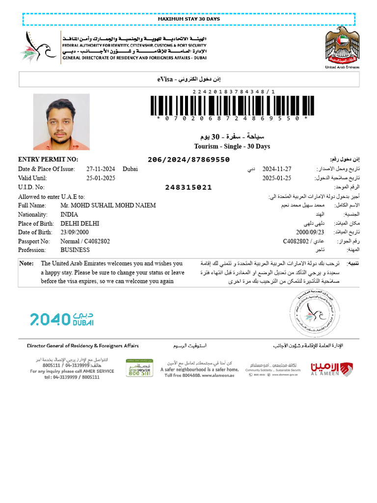 E Visa | PDF