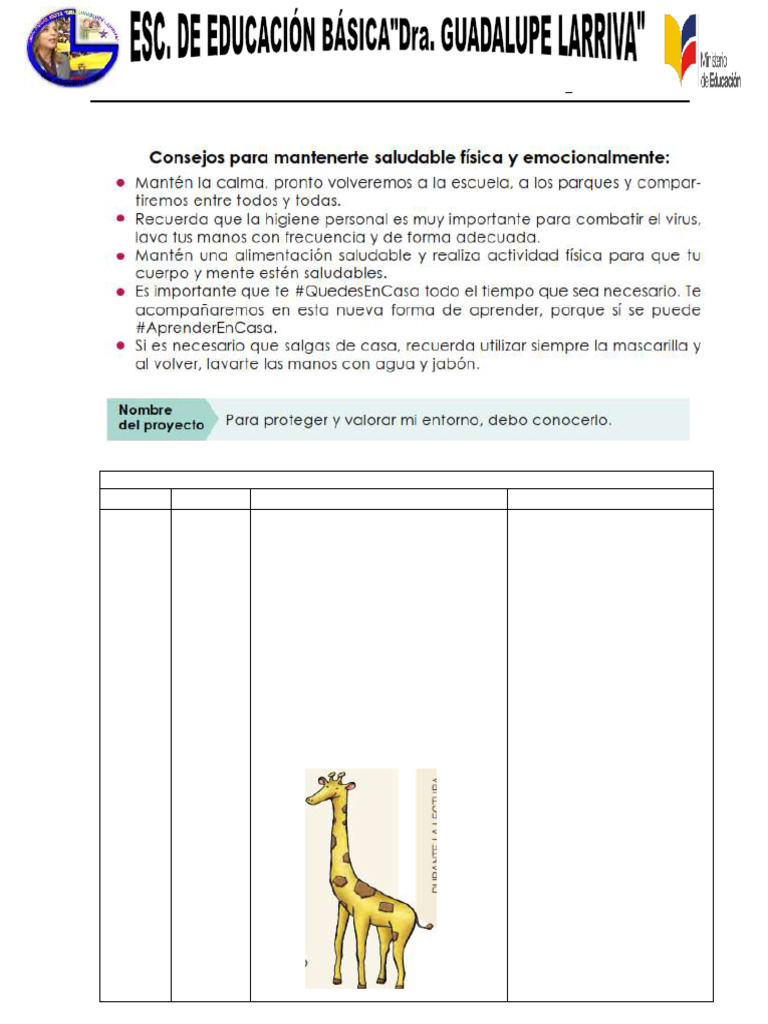 Semana 9 de Actividades | PDF