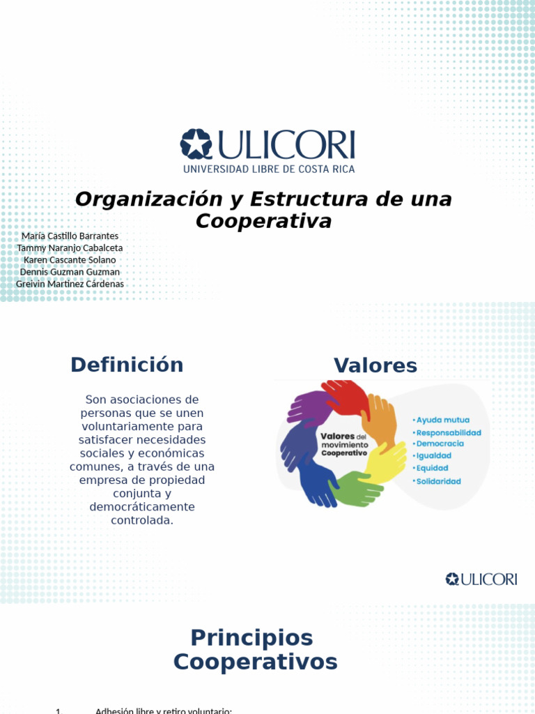 Organización y Estructura de Una Cooperativa | PDF