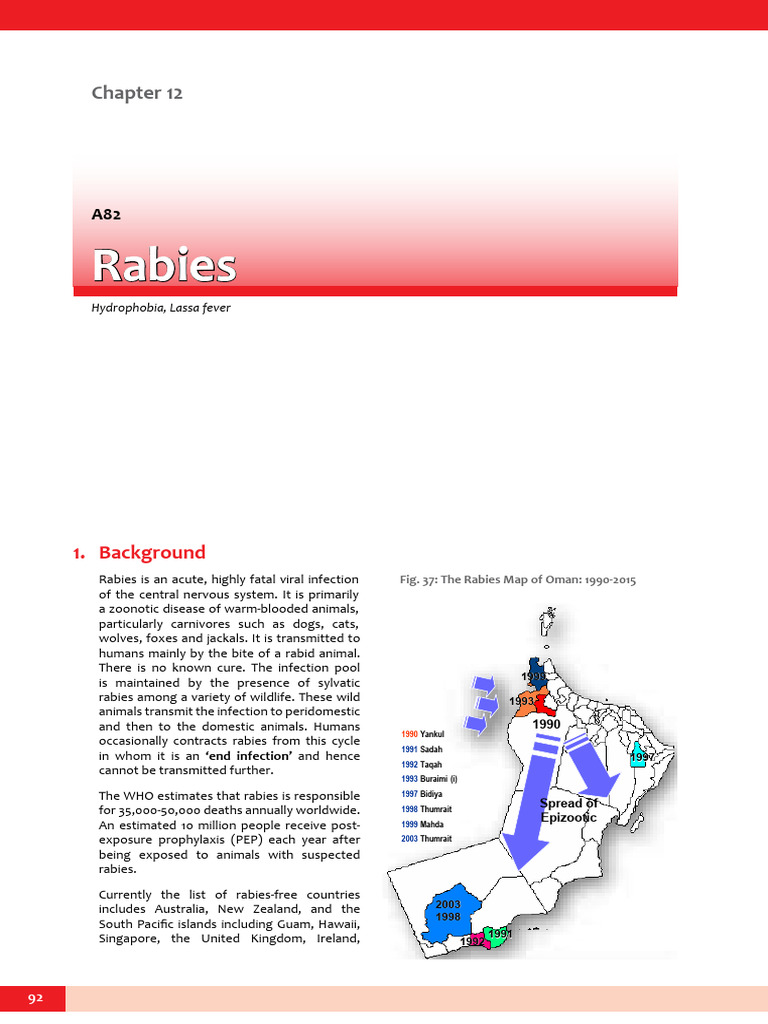 Understanding Rabies: Causes and Control | PDF | Rabies | Animal Diseases