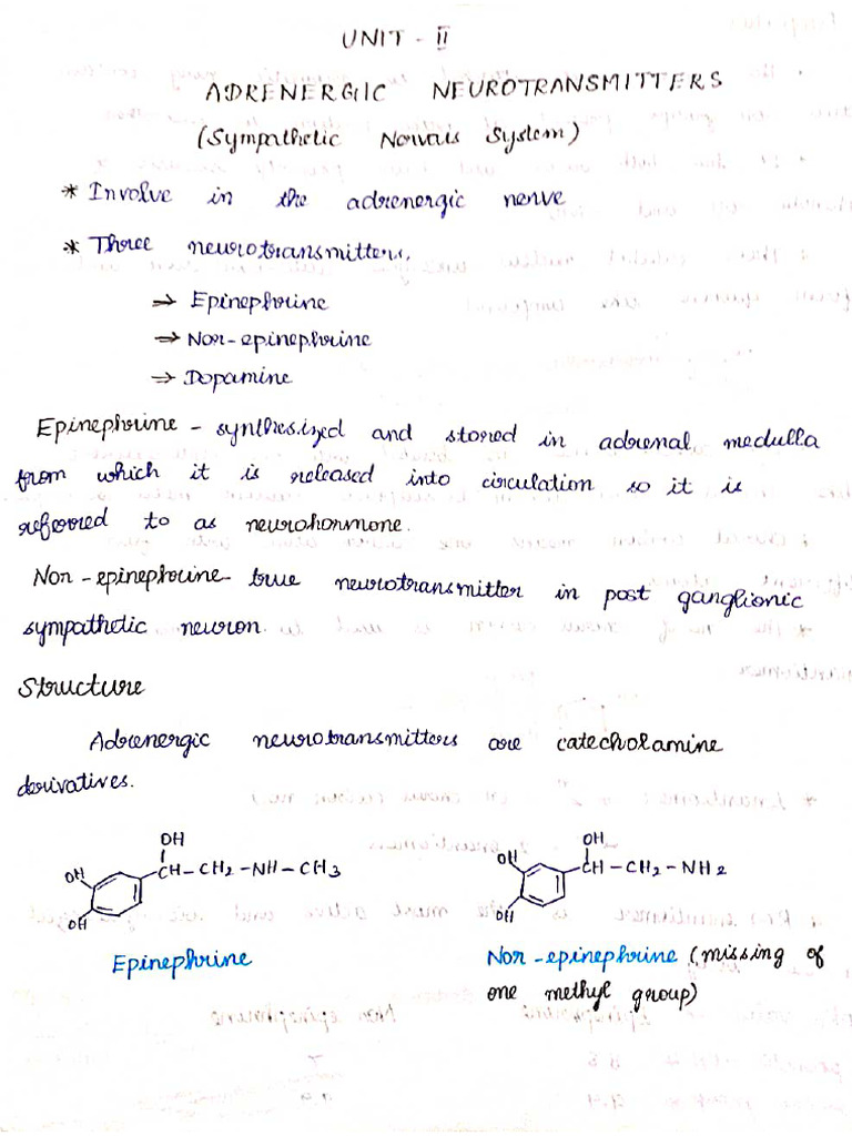 Adrenergic, Cholinergic, NSAIDs Written Notes | PDF