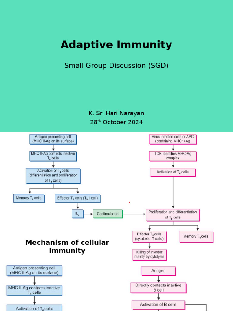 Adaptive Immunity | PDF