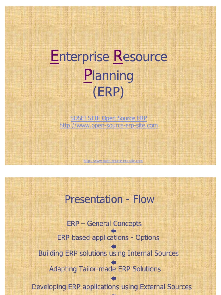 Erp Presentation | PDF