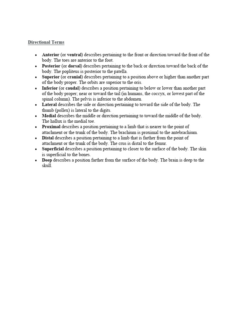 Directional Terms PDF