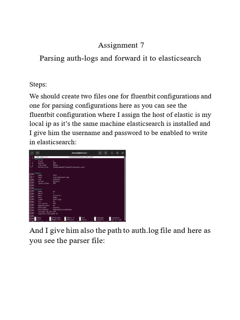 Fluent Bit Auth Log Parsing Guide | PDF