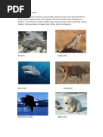 Download HEWAN KARNIVORA by bayu_fauzi SN80626713 doc pdf